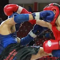 Александр Ефременко