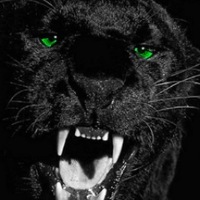 Анатолий Левченко