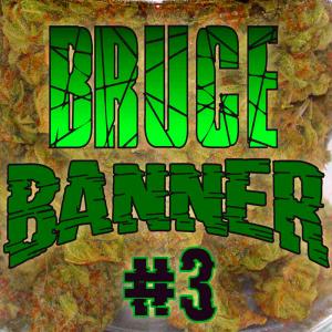 Bruce Banner3