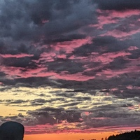 Даня Максимов