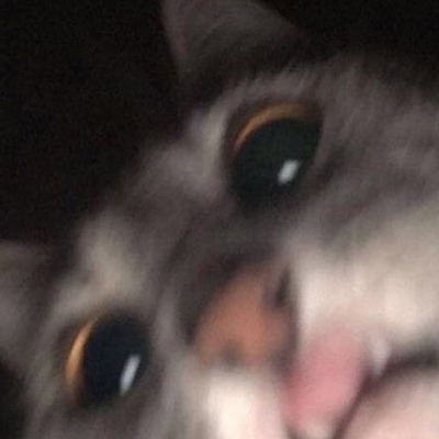 Никита Драг