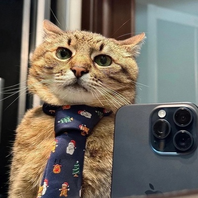 Илюха Тихонов